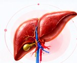 Fatty Liver Support